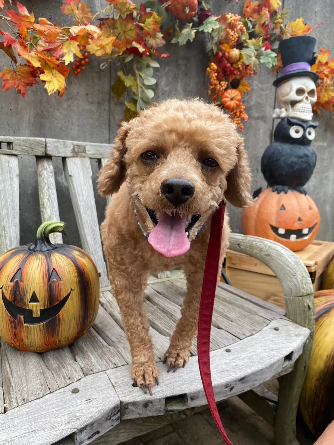 飯塚市のウィルくん②