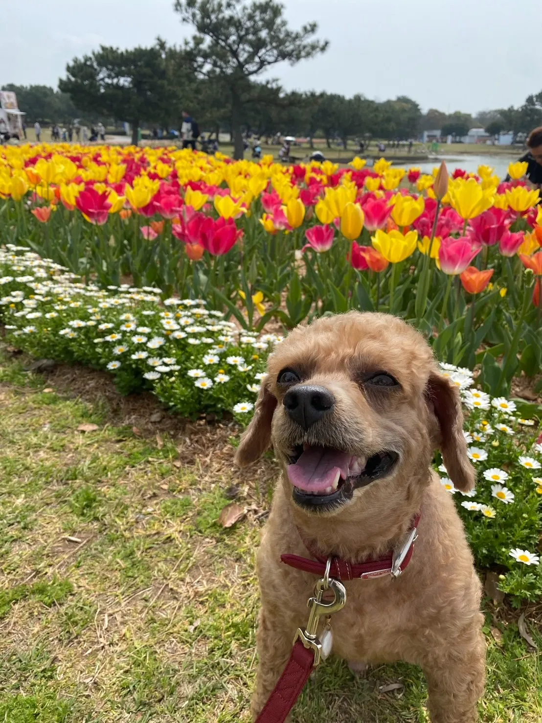 飯塚市のウィルくん①
