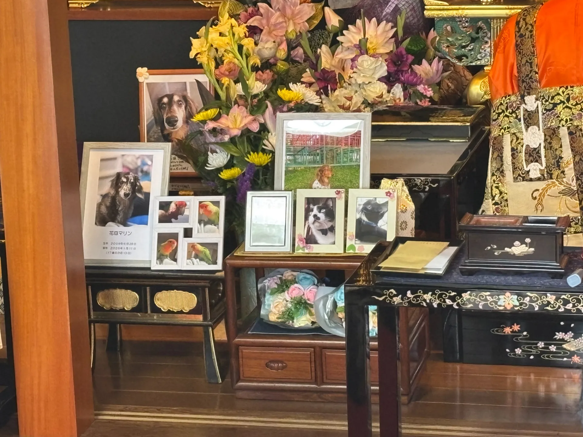 ペット合同供養祭①(春季彼岸)