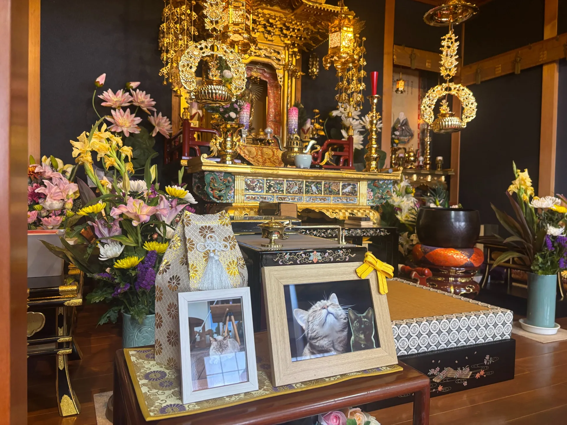 ペット合同供養祭②(春季彼岸)