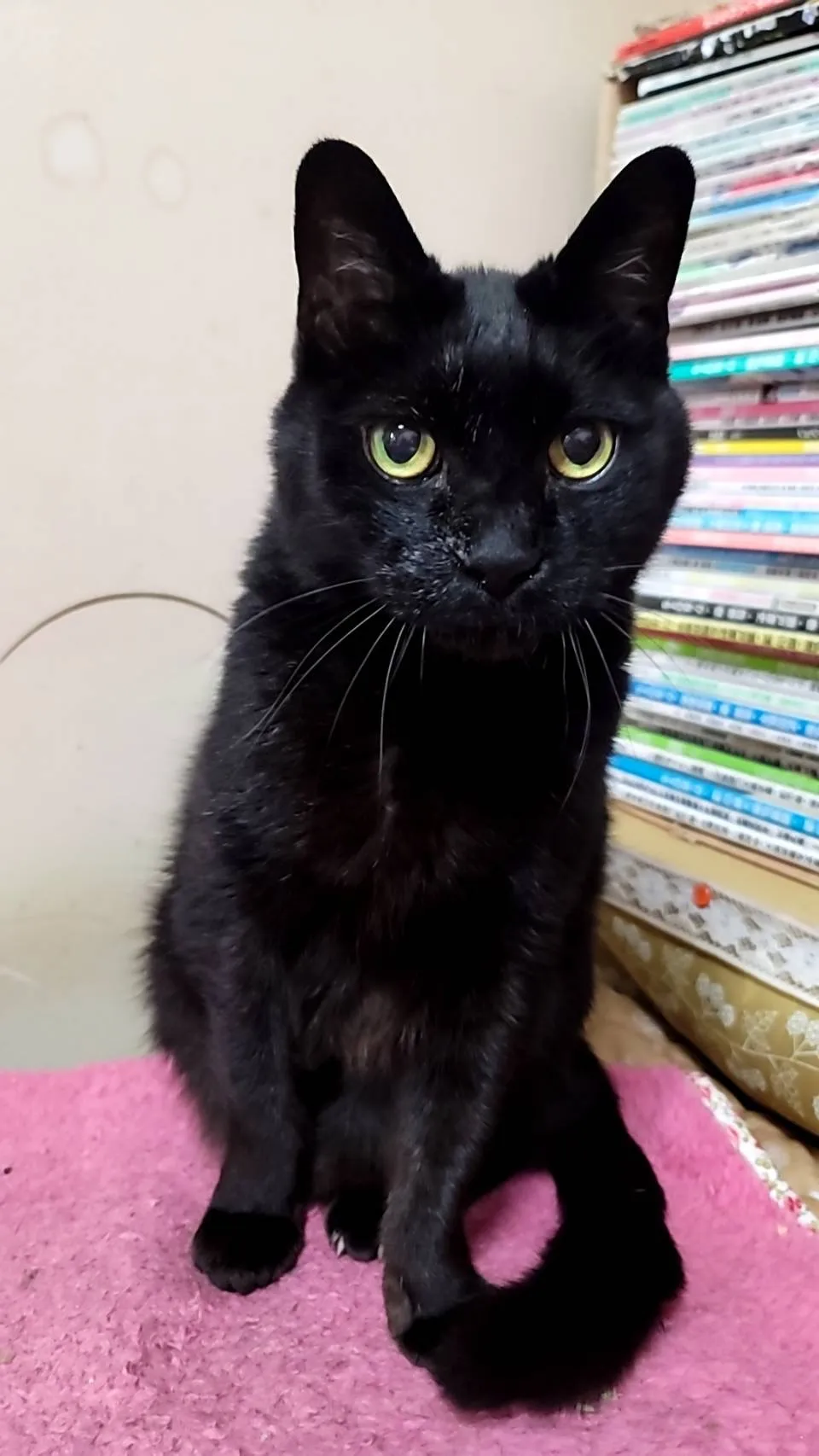 直方市の才蔵くん②